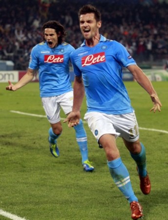 出极强的适 出极强的适